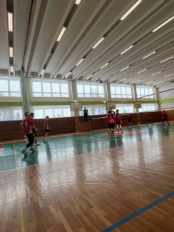 Volejbal 2024